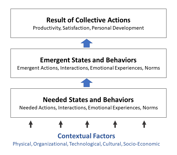 Homans' Maturity Model